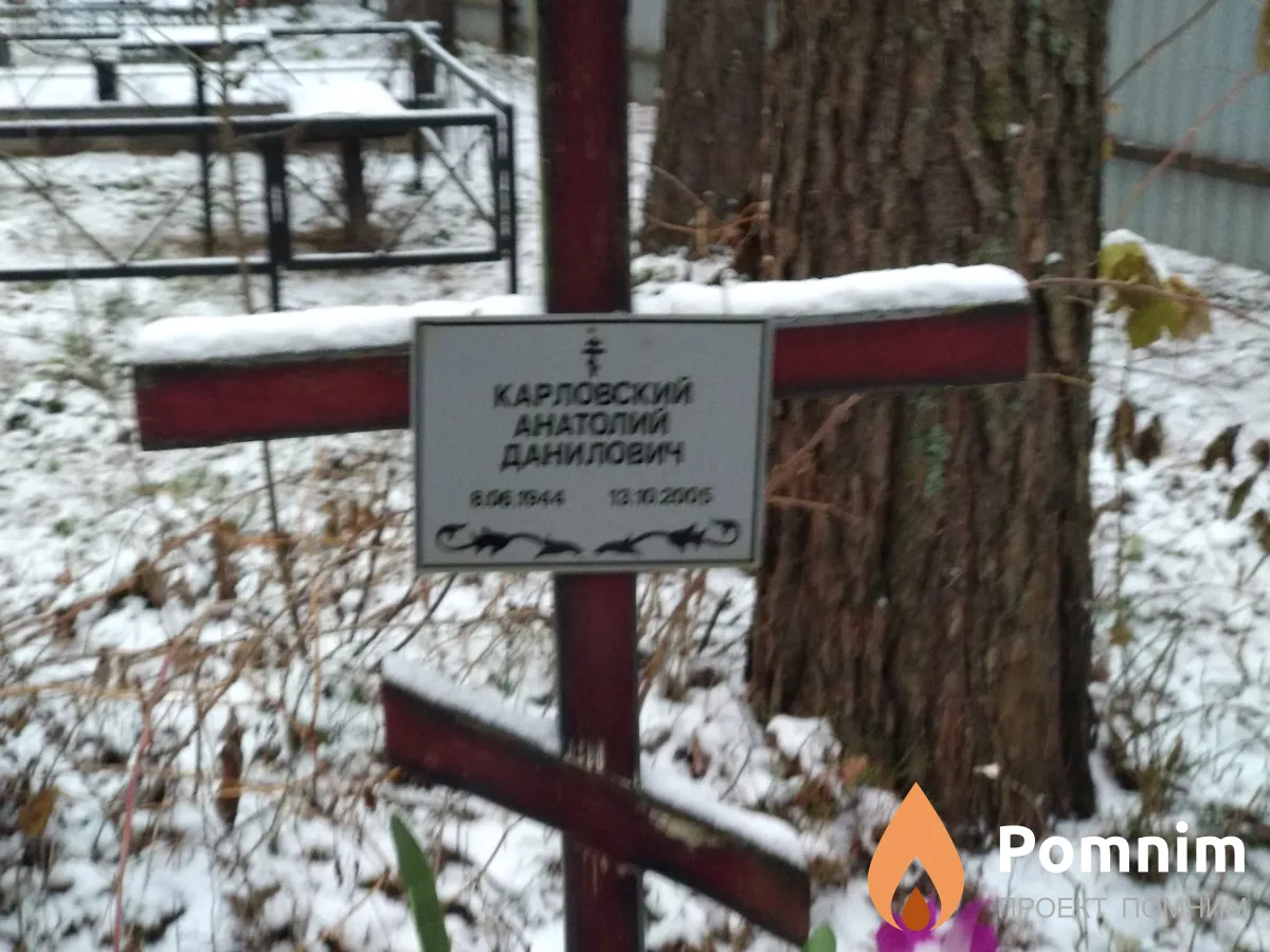 Карловский Анатолий Данилович
