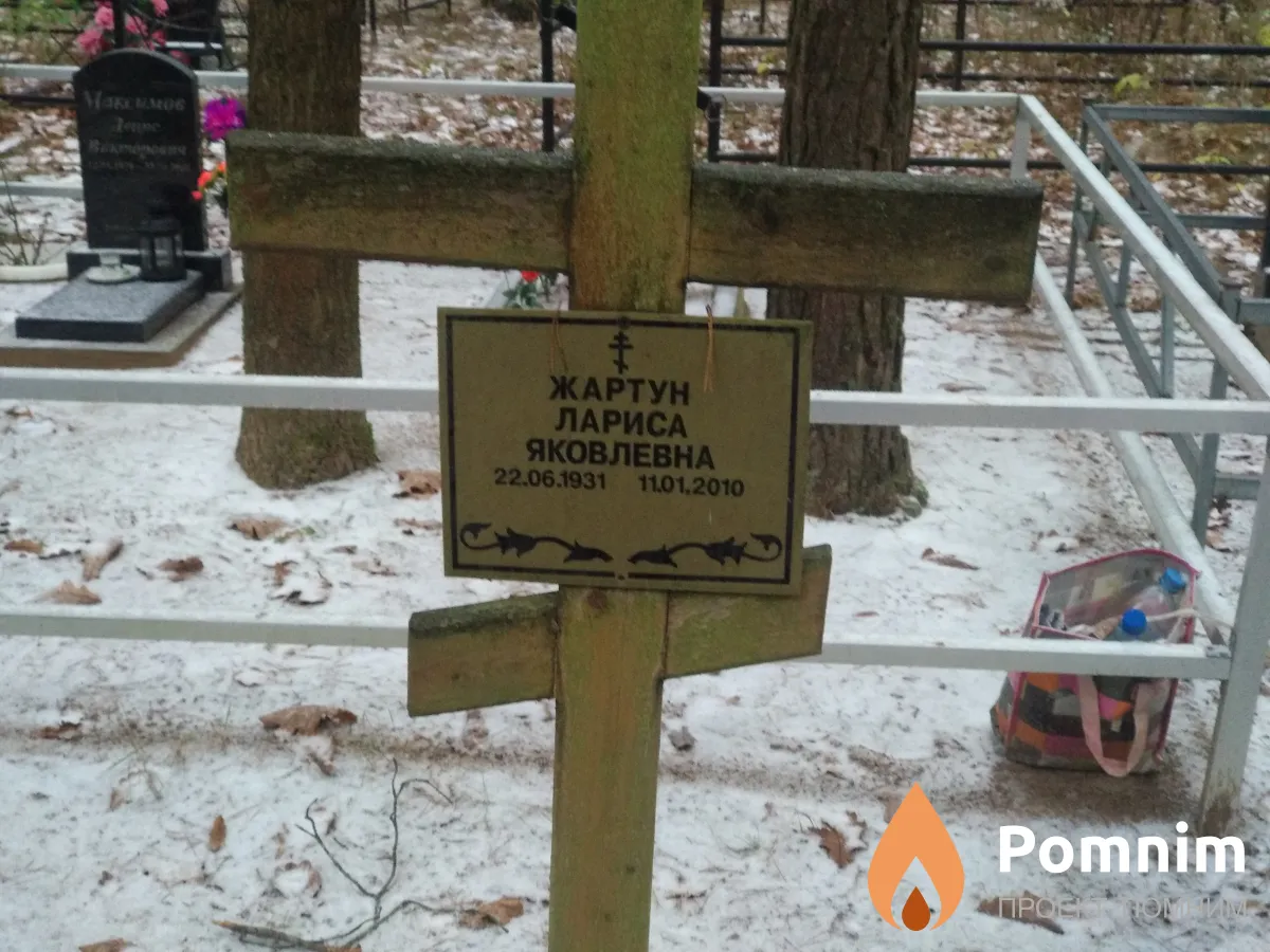 Жартун Лариса Яковлевна