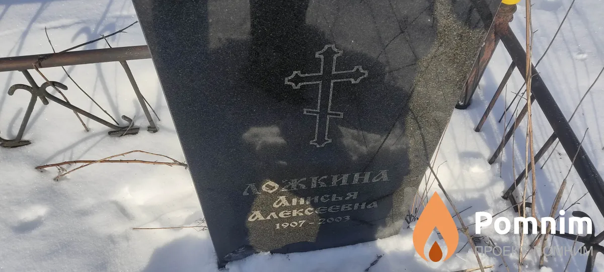Ложкина Анисья Алексеевна