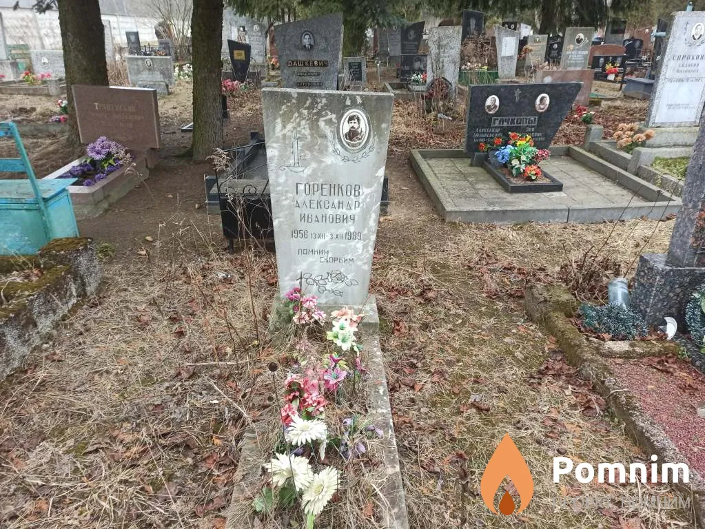Горенков Александр Иванович