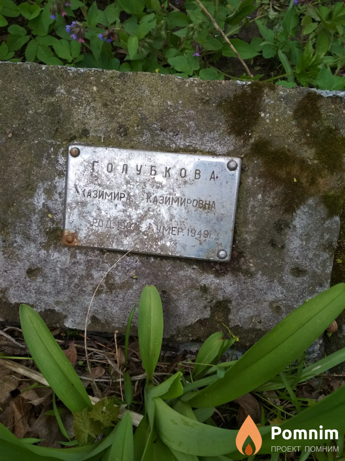 Голубкова Казимира Казимировна