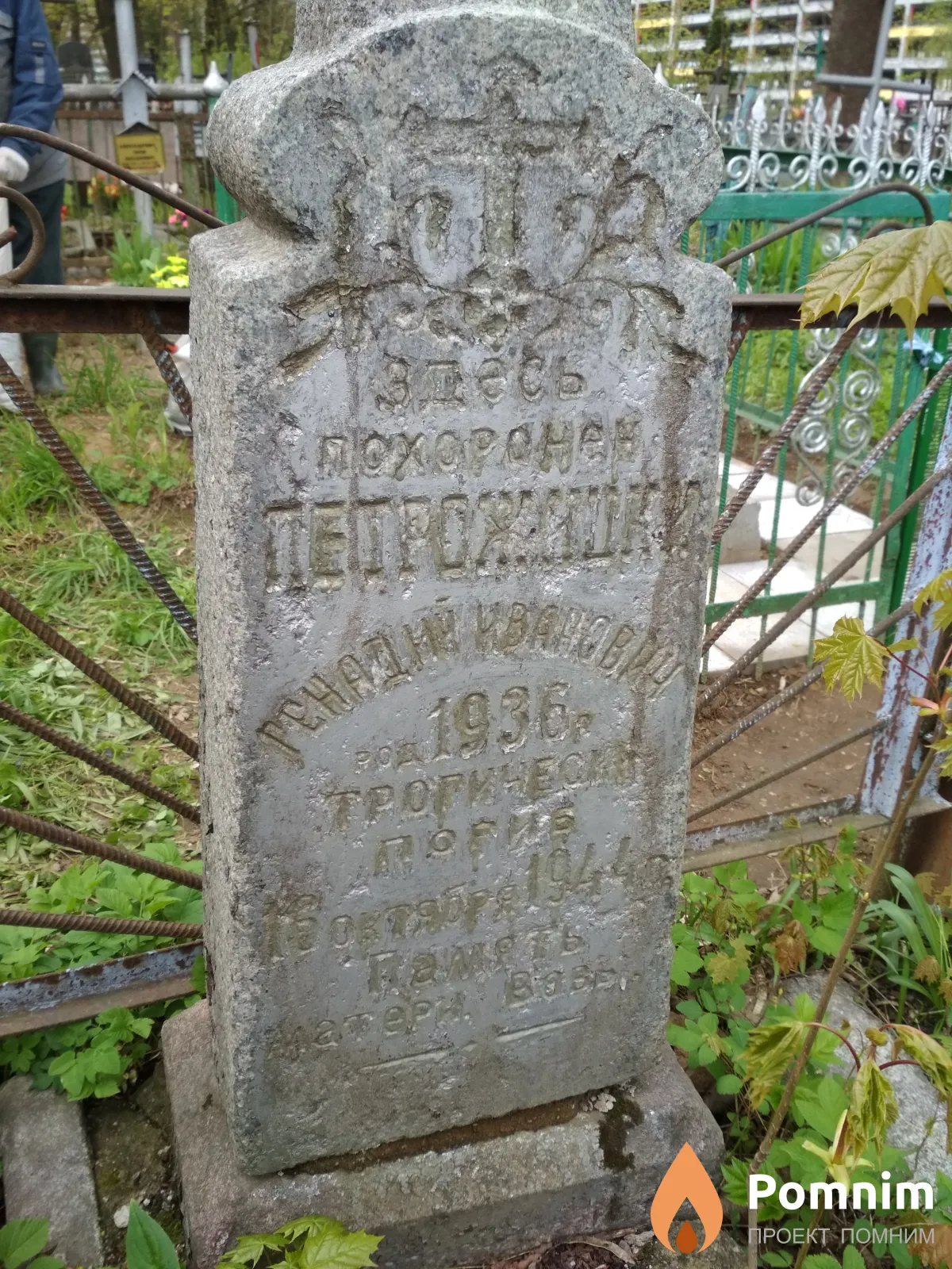 Петрожицкий Геннадий Иванович