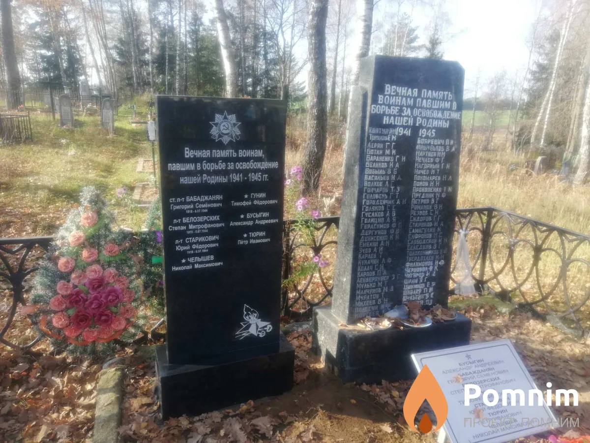 Челышев Николай Максимович