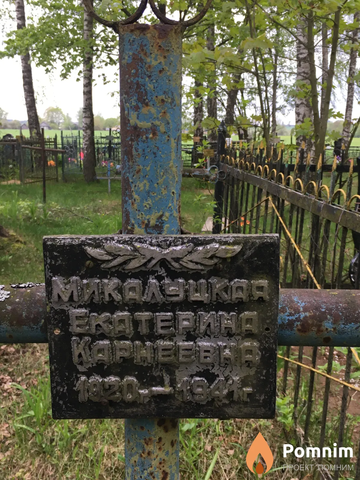 Микалуцкая Екатерина Карнеевна