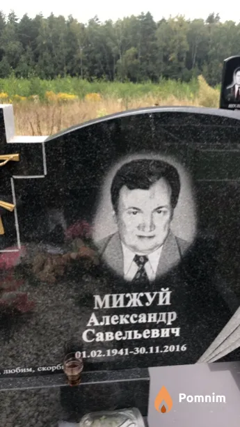 Мижуй Александр Савельевич