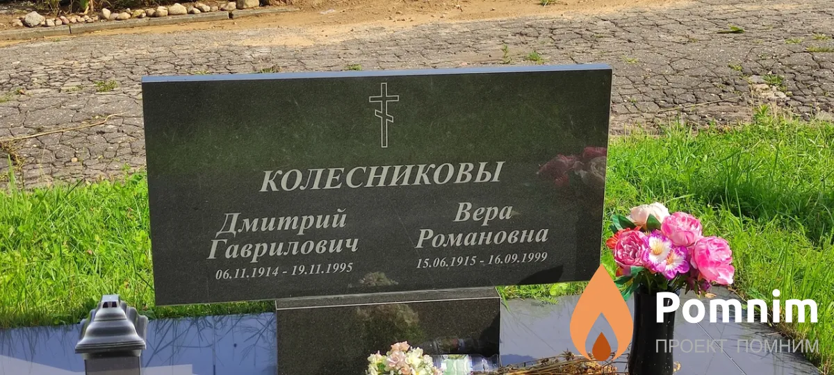 Колесников Дмитрий Гаврилович