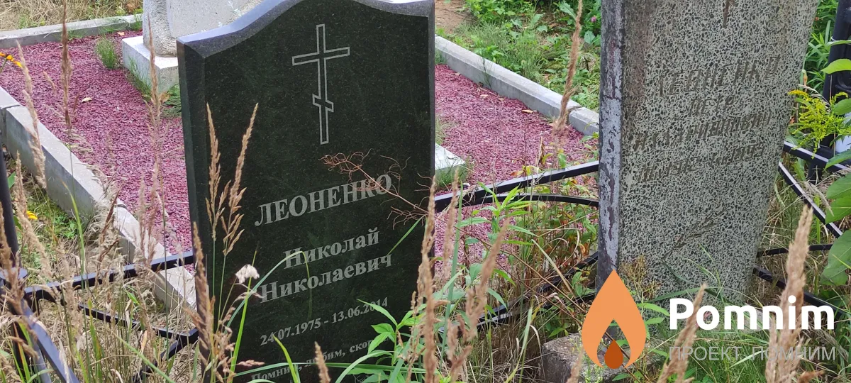 Леоненко Николай Николаевич