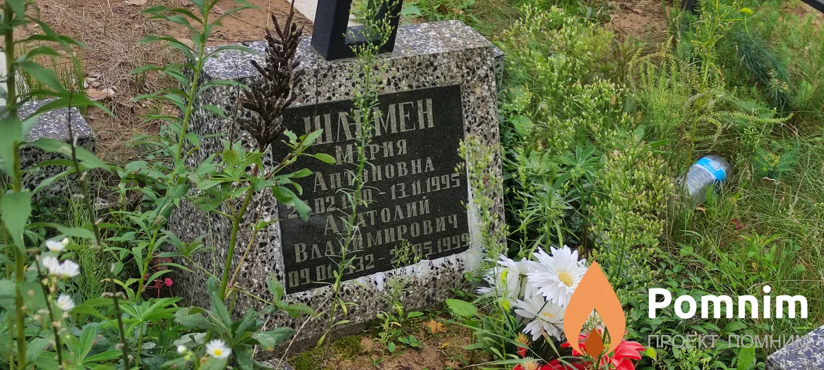 Шлемен Анатолий Владимирович