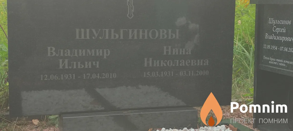 Шульгинов Владимир Ильич
