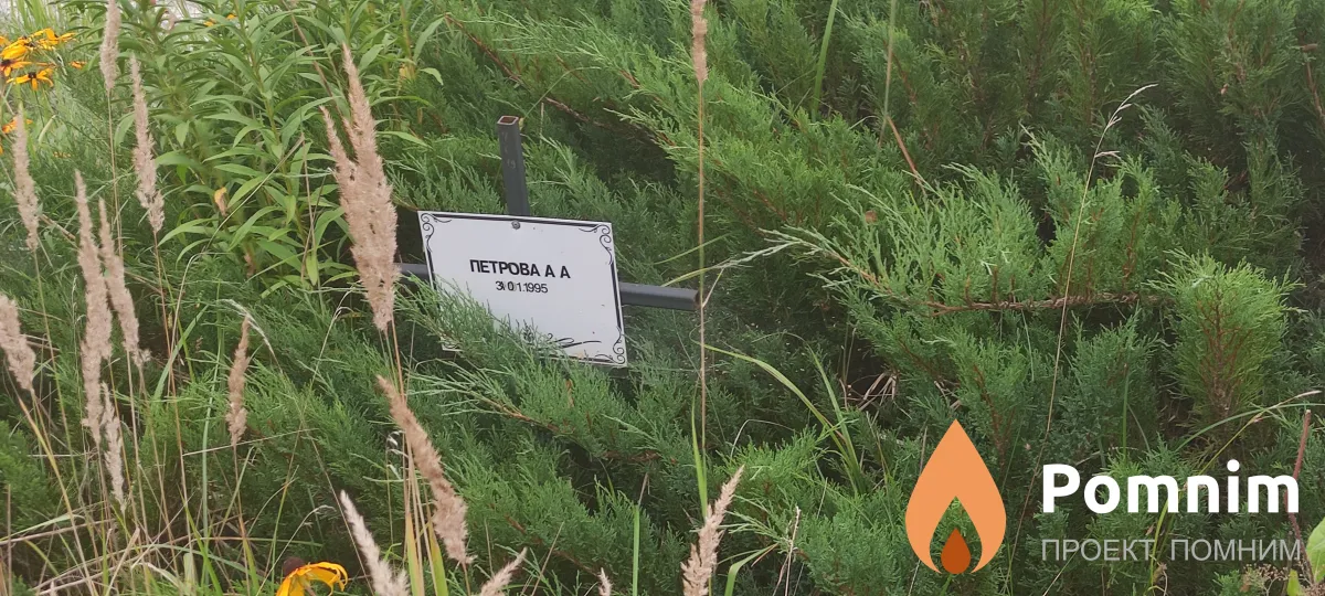 Петрова А А