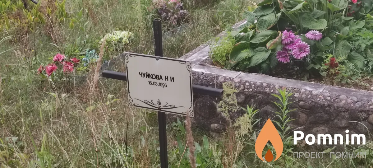 Чуйкова Н И