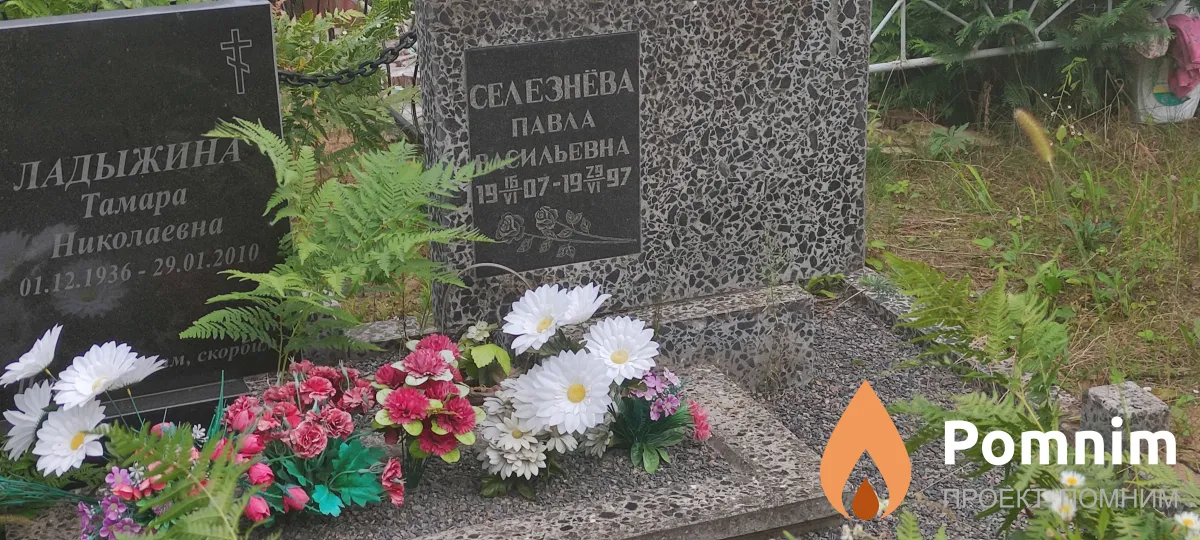 Ладыжина Тамара Николаевна