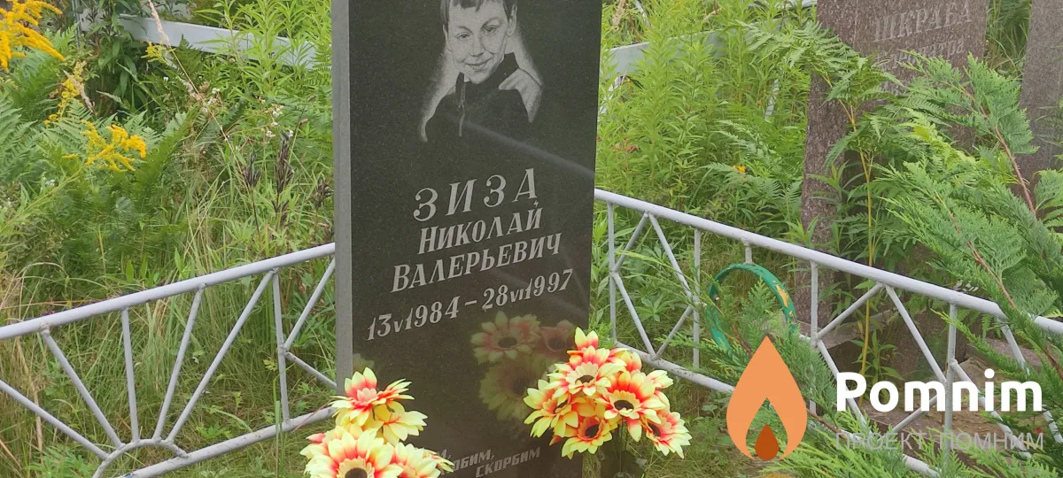 Зиза Николай Валерьевич