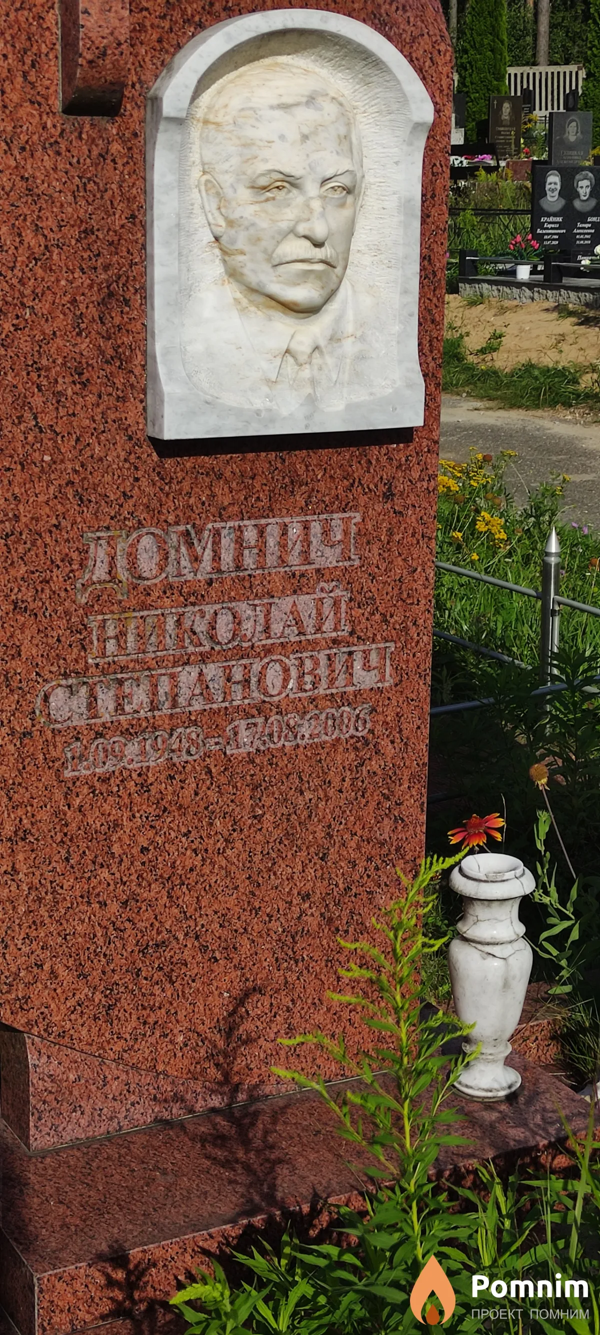 Домнич Николай Степанович