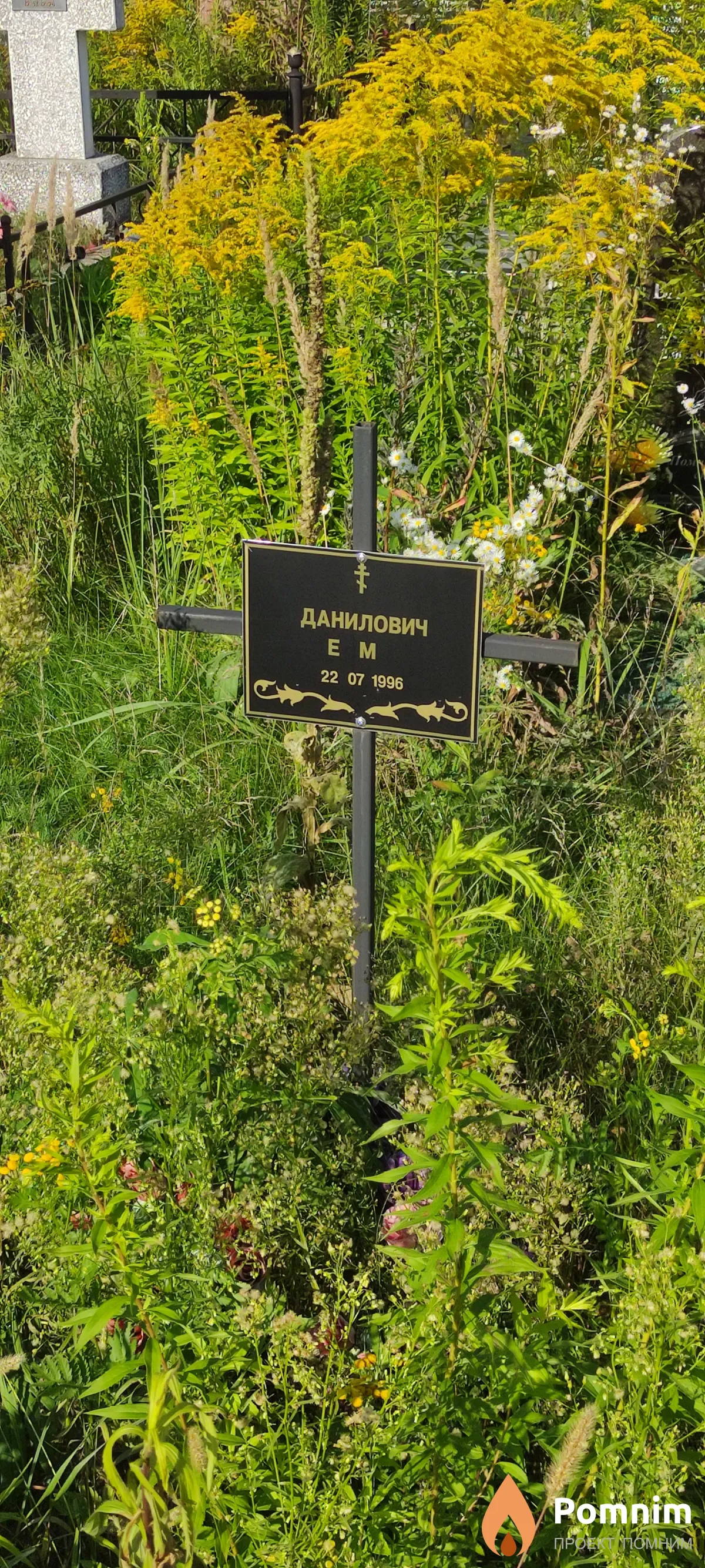 Данилович Е М