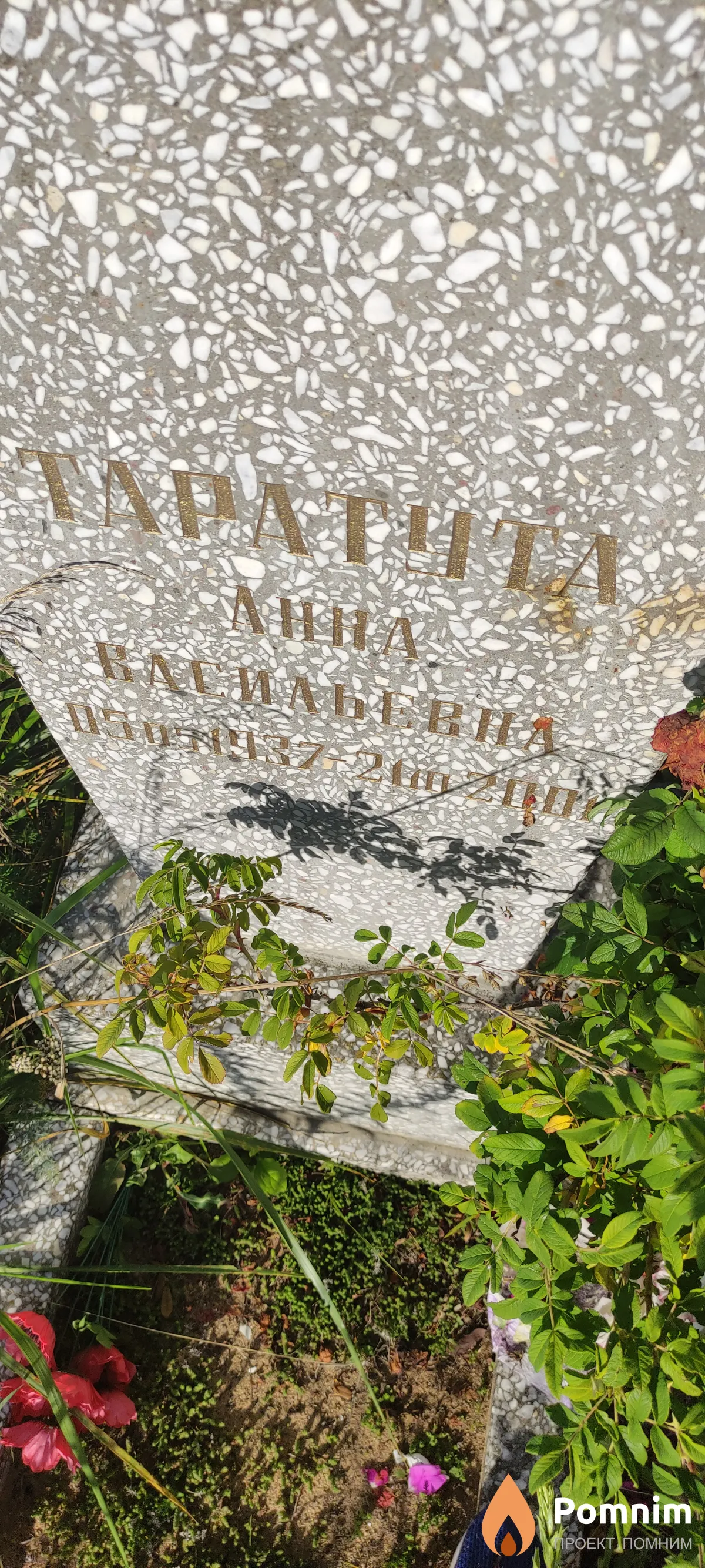 Таратута Анна Васильевна
