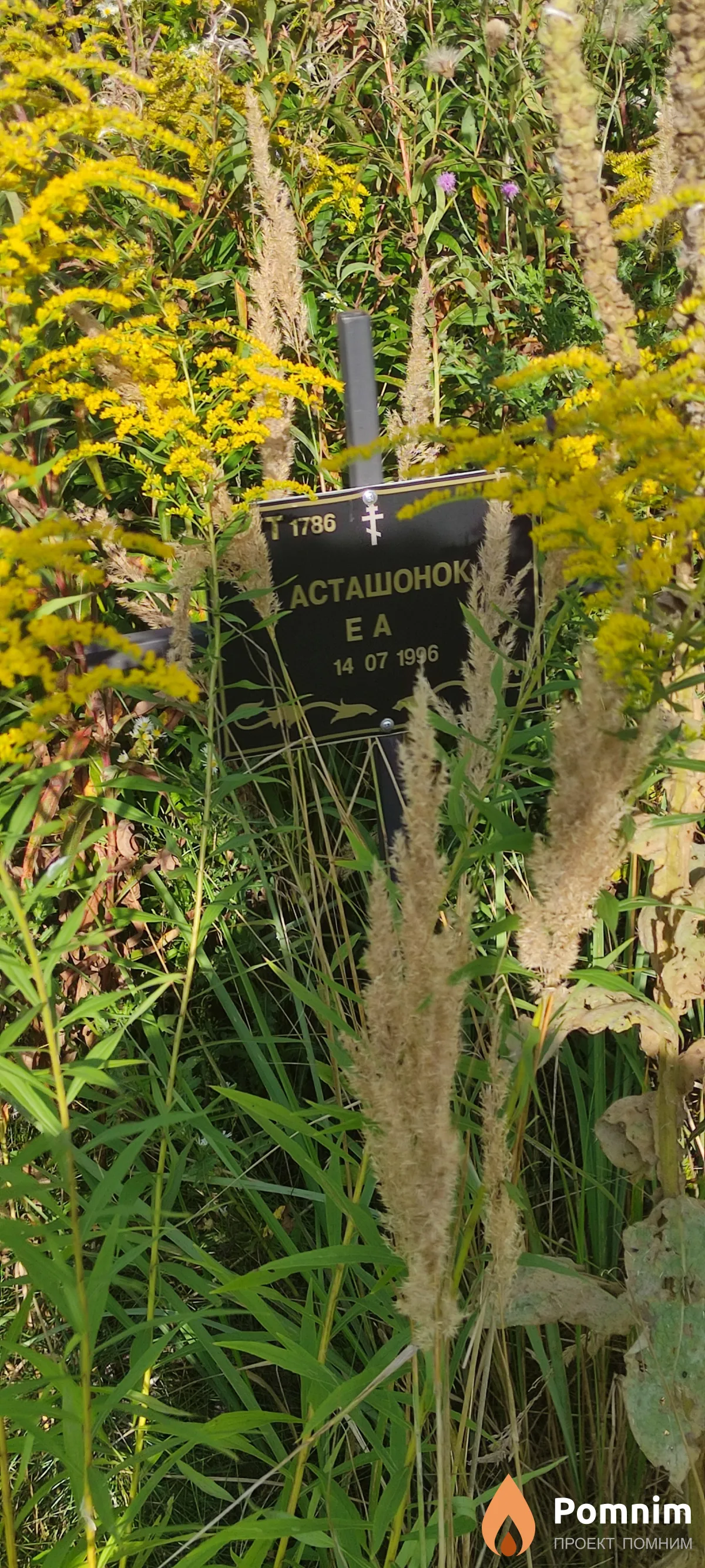 Асташонок Е А