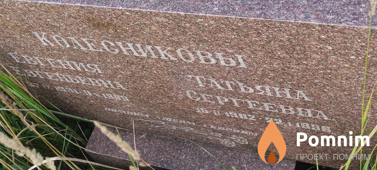 Колесникова Татьяна Сергеевна