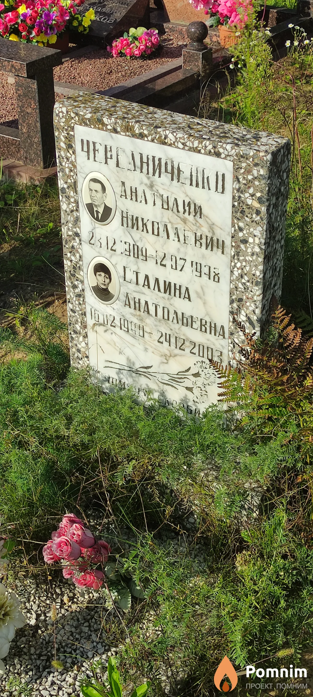 Чередниченко Анатолий Николаевич