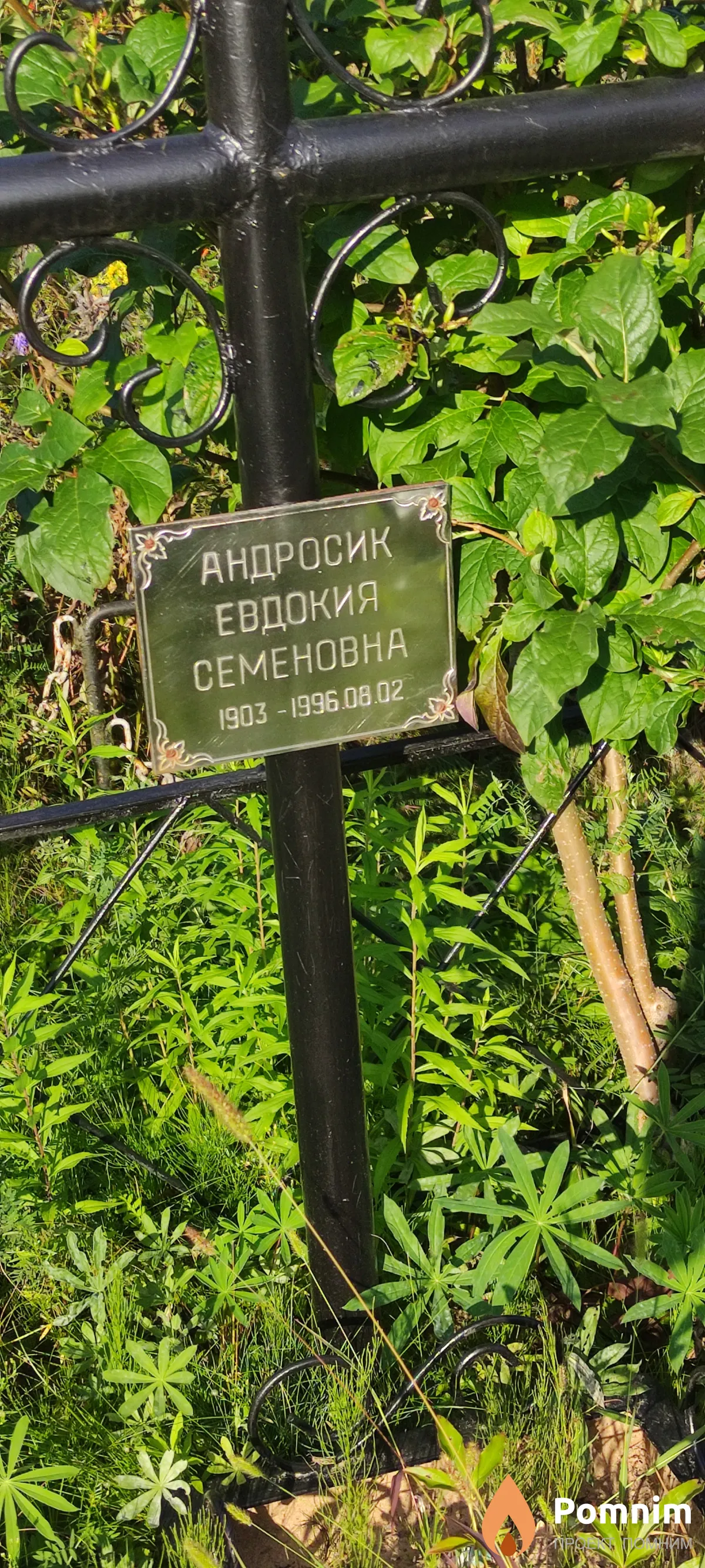 Андросик Евдокия Семеновна