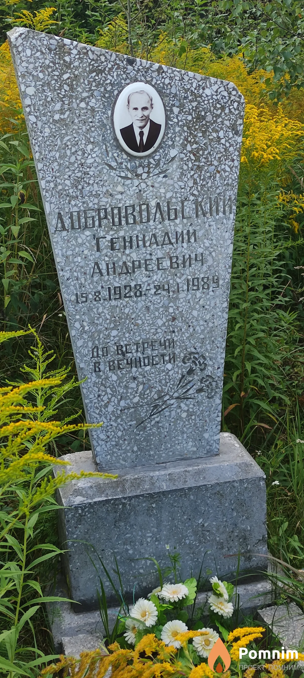 Добровольский Геннадий Андреевич