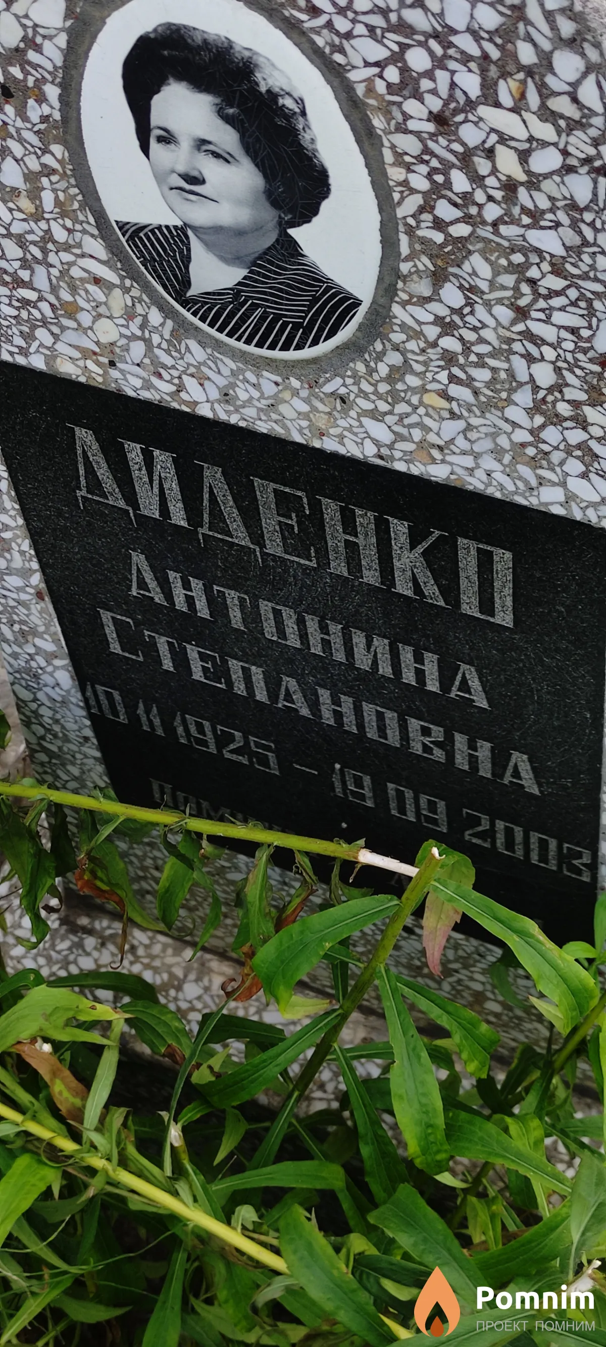 Диденко Антонина Степановна