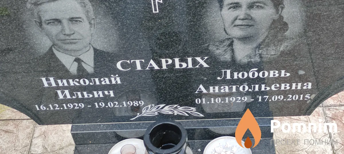 Старых Николай Ильич
