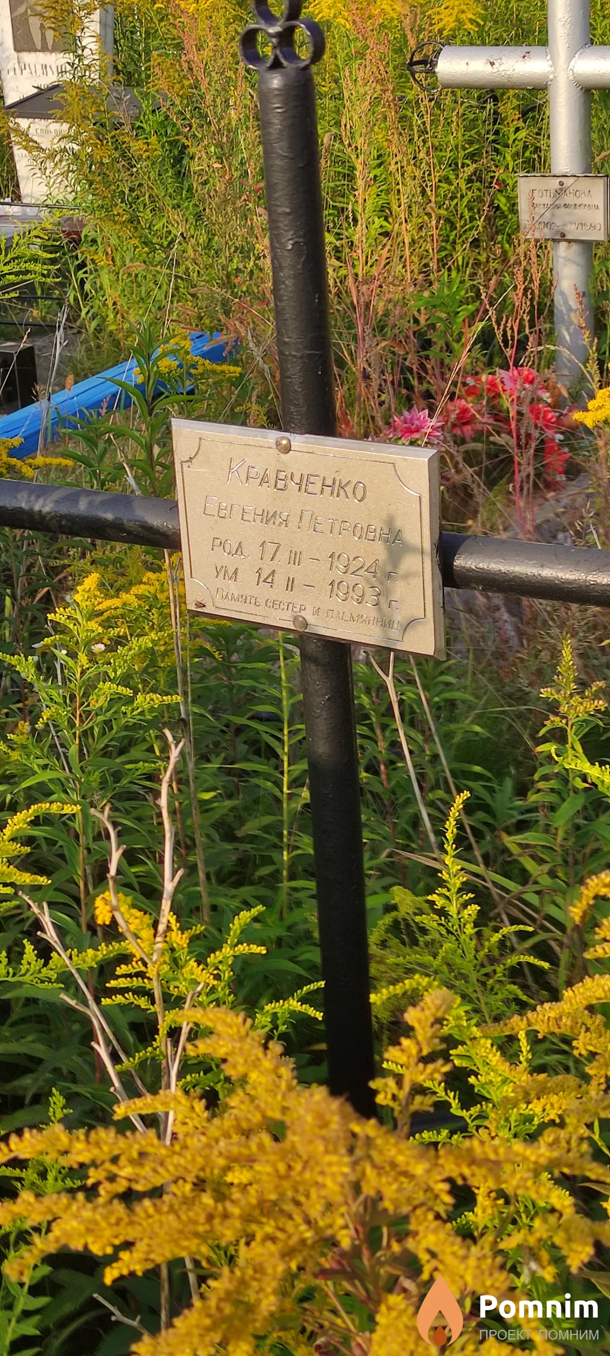 Кравченко Евгения Петровна