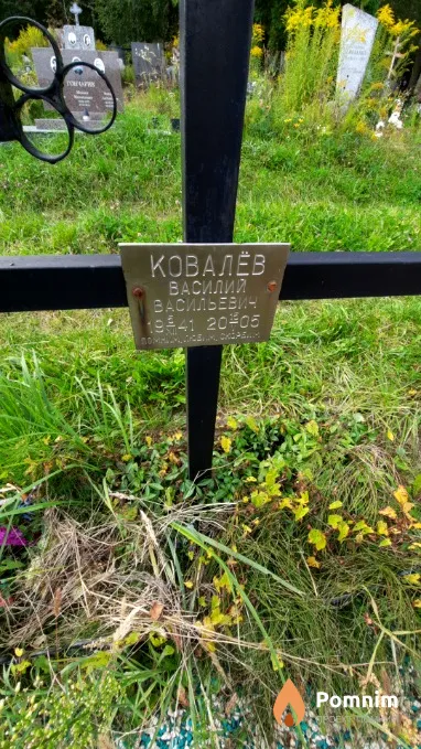 Ковалёв Василий Васильевич