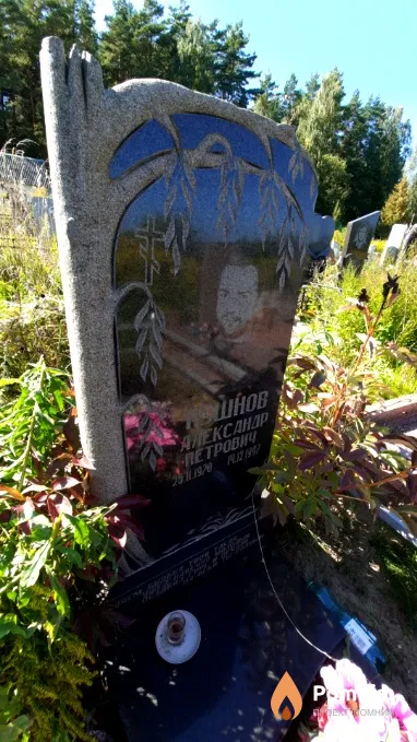 Пушнов Александр Петрович
