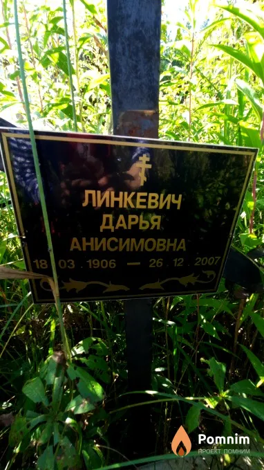 Линкевич Дарья Анисимовна