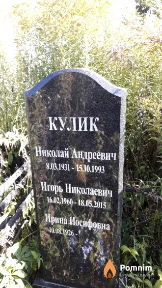 Кулик Игорь Николаевич