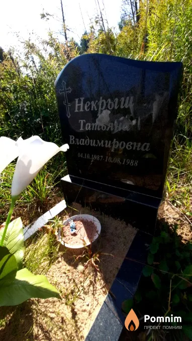 Некрыш Татьяна Владимировна