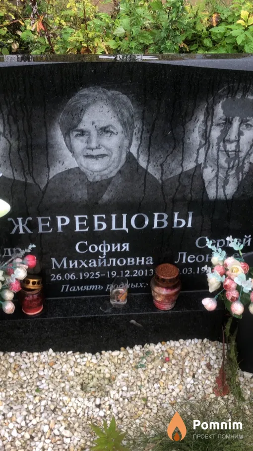 Жеребцова София Михайловна
