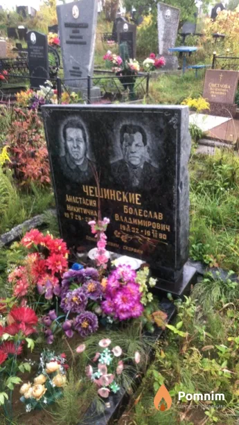 Чешинская Анастасия Никитична