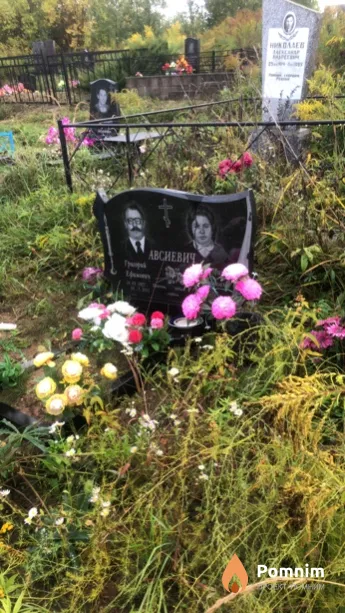 Авсиевич Григорий Ефимович