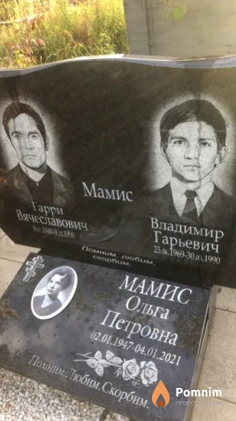 Мамис Владимир Гарьевич