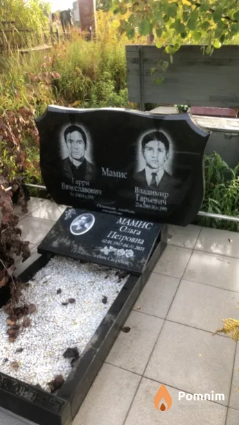 Мамис Гарри Вячеславович