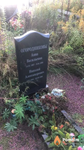 Огородникова Анна Васильевна