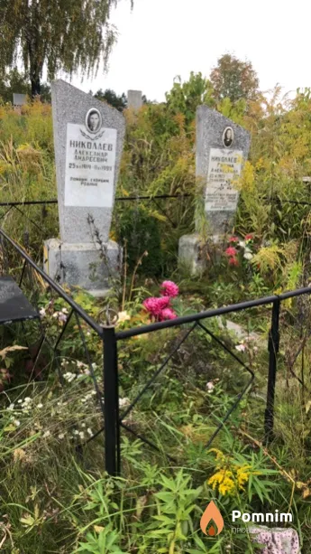 Николаев Александр Андреевич