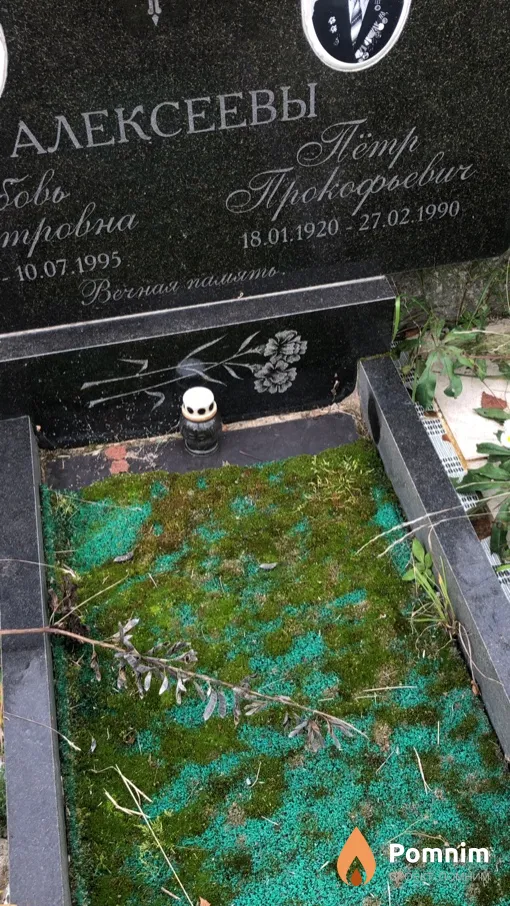 Aлексеев Пётр Прокофьевич
