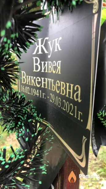 Жук Вивея Викентьевна