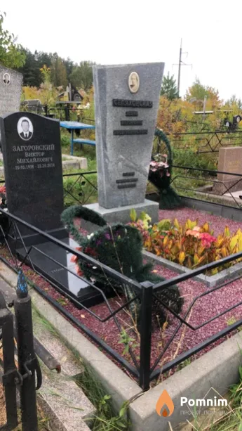 Загоровский Виктор Михайлович