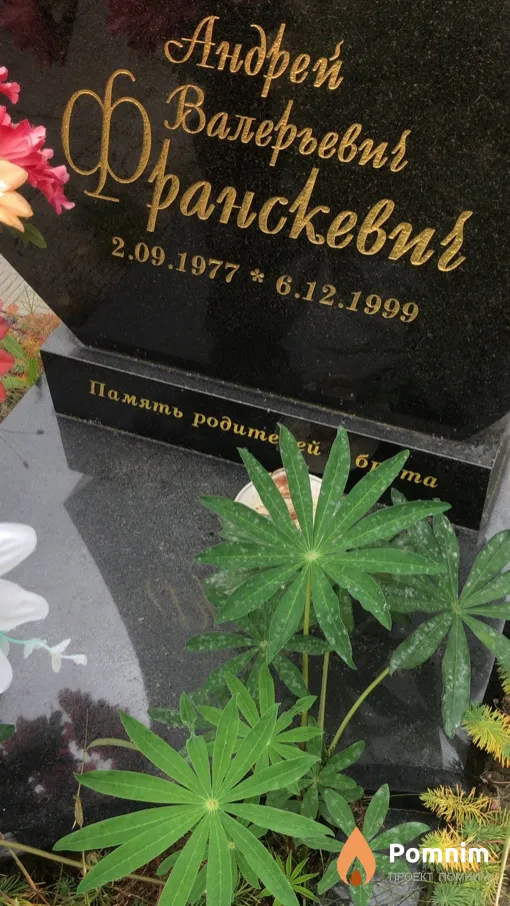Франскевич Андрей Валерьевич