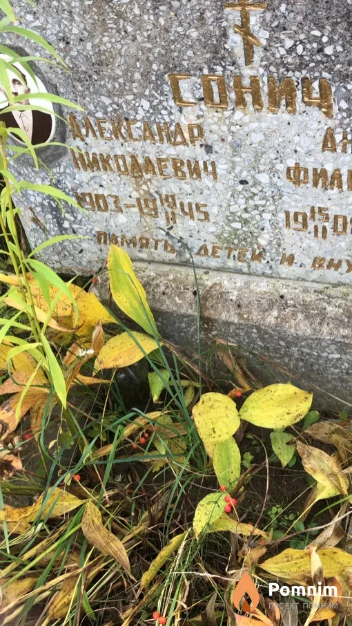 Сонич Александр Николаевич