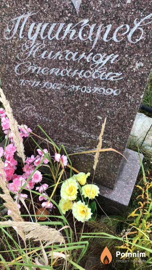 Пушкарев Никандр Степанович