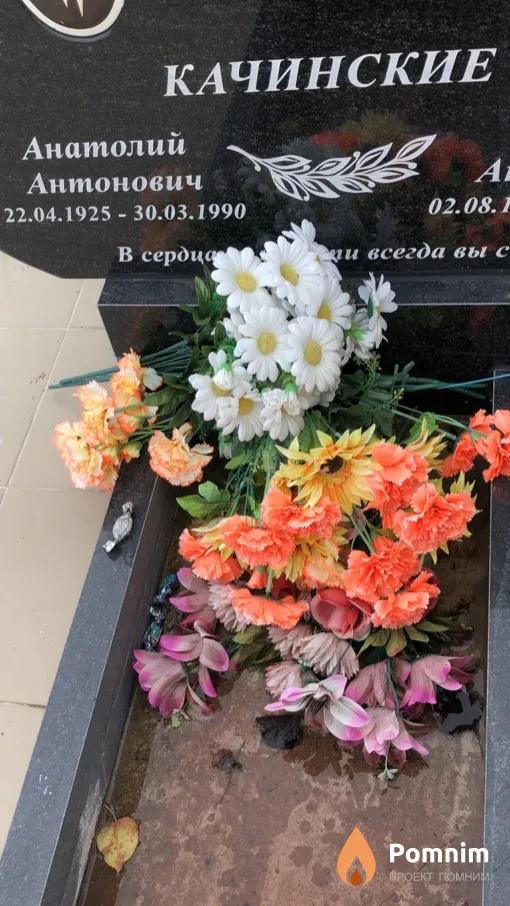 Качинский Анатолий Антонович
