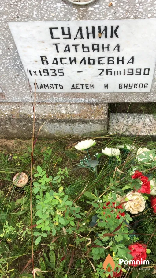 Судник Татьяна Васильевна