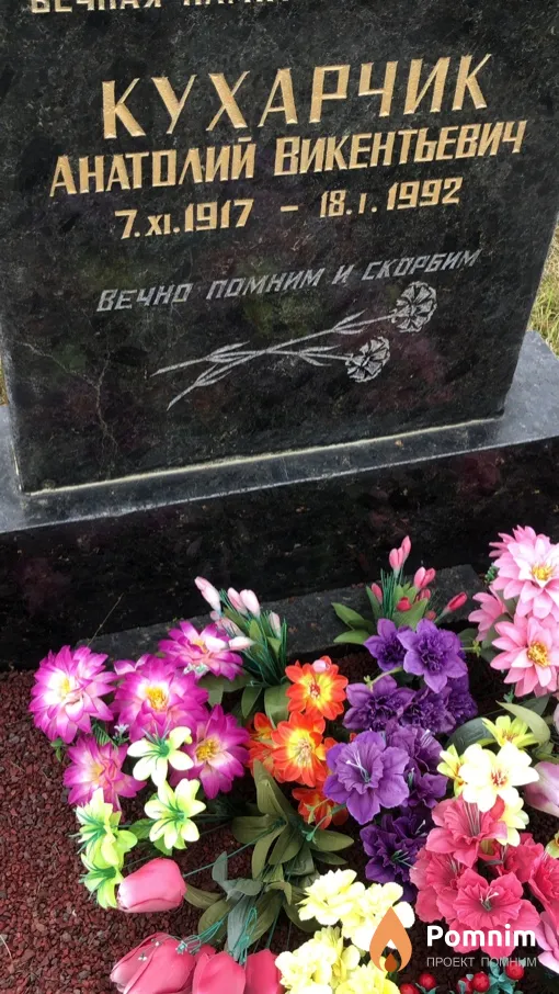 Кухарчик Анатолий Викентьевич