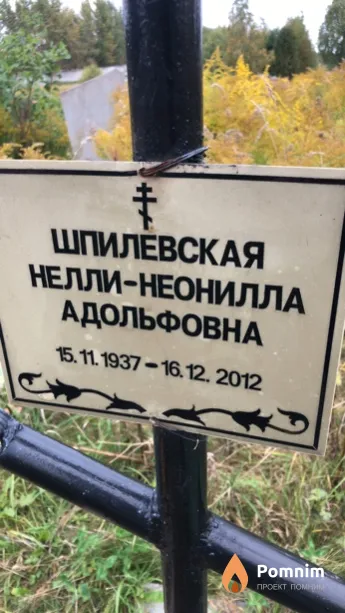 Шпилевская Нелли-Неонилла Адольфовна